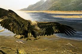 Seize the Opportunity!